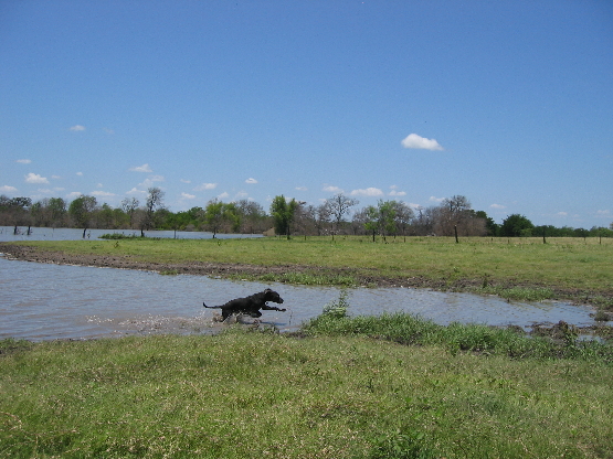 2008 06 15.131049