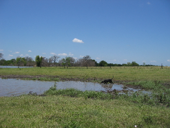 2008 06 15.131054