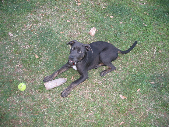 2008 05 26.193847