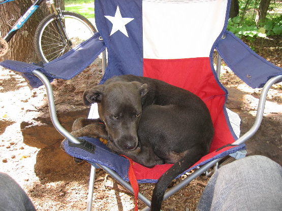2008 05 31.153642