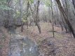 Brshy Creek Ranch